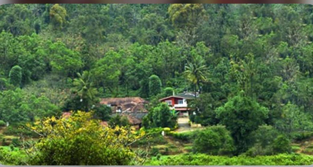 Coorg Naladi Holidays Kakkabe Exterior foto